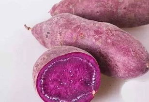 介绍紫薯的功效与作用 紫薯为什么是紫色的揭晓 