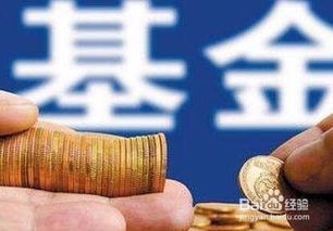 怎样判断基金