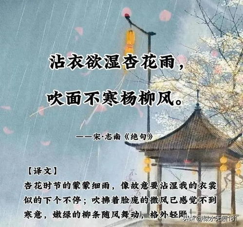 落进诗词里的最美春雨