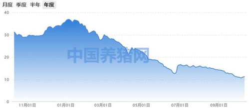 请问底部周期什么意思？