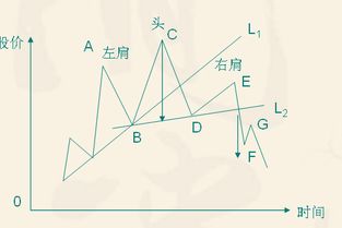 证券投资期末考试题，求神人解答