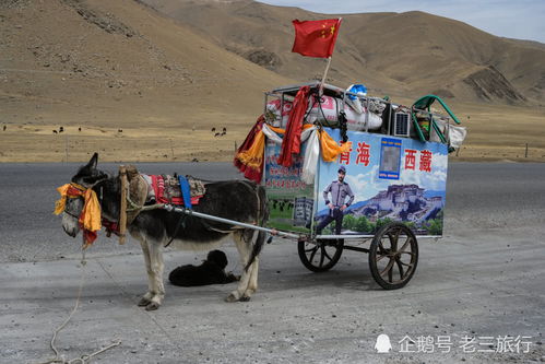 我的青海自驾之旅,现在真的不适合来青海游玩,建议6月份以后