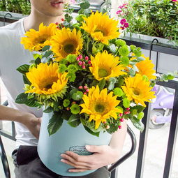 白太阳花代表什么意思,父母送女儿生日礼物用鲜花表示什么花合适？