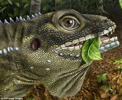 4000万年前气温升高导致小型食草蜥蜴长成巨蜥 