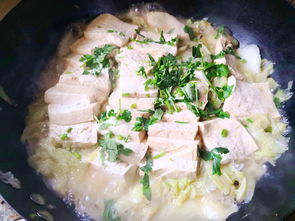 白菜炖豆腐的家常做法