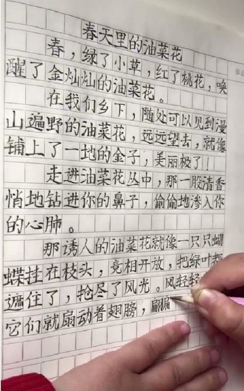 看看二年级学生写的日记,老师再看自己学生的 作品 ,一声叹息