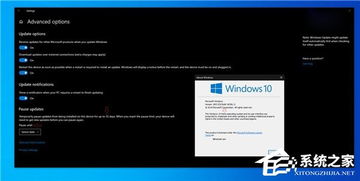 win10怎么暂停更新
