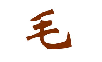 毛姓取名字