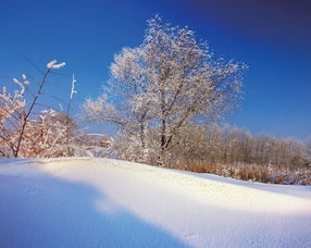 摄影师教你如何拍好雪景作品 上 