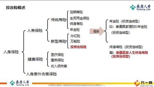 证券与保险