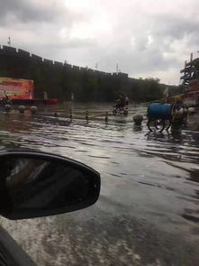 宣化今儿这雨下的是真有点大呀...水流成河了都