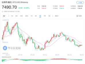 英伟达股票 比特币,我拿了一万入股比特币每天都能分到比特币