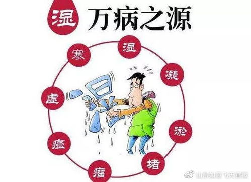 湿气不除,易生百病 如何判断体内有没有湿气,看这4处你中了几条