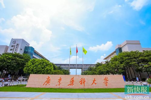 广东开放大学红日分校：打造一流的成人教育新标杆 