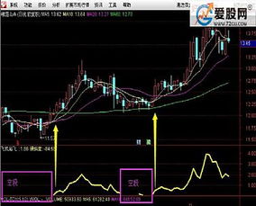 如何查看某支股票过去某一时期的市盈率 ？请用通达信公式解答，并说明如何导入，谢谢了！