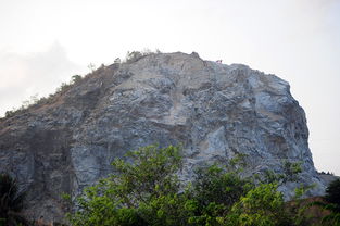 三亚抱坡岭 秃头山 披上 绿衣裳 成公园 