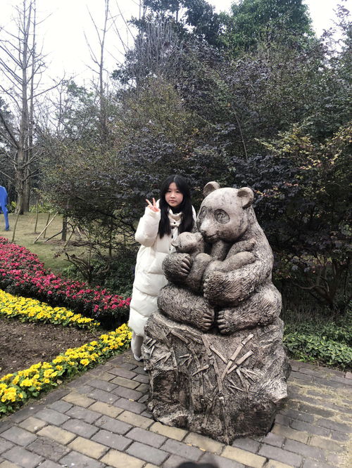 旅游风光分享 重庆动物园志愿活动 
