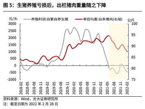 江西紧急展开猪肉储备收储计划