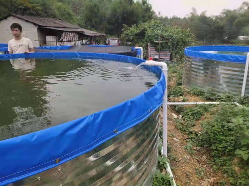 秦皇岛防水养鱼池生产商,防漏抗老化黄鳝池厂家 优质服务 