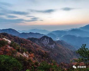 再过十来天,蚌埠周边这些地方都可以免费玩啦 赶紧收藏 