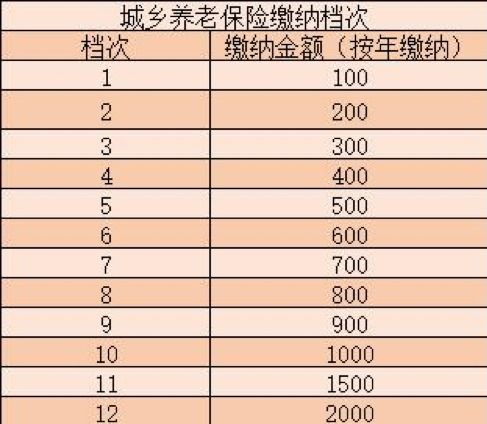 养老保险费最新标准表图片,2021年养老保险价格表