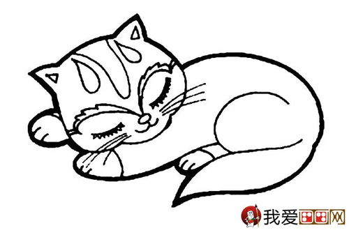 猫的简笔画大全 可爱动物简笔画猫图片16副