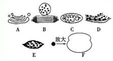 据最新研究发现,内皮素在皮肤中分布不均,是造成色斑的主要原因 内皮素拮抗剂进入皮肤,可以和黑色素细胞膜的受体结合,使内皮素失去作用,这为美容研究机构带来了福音 