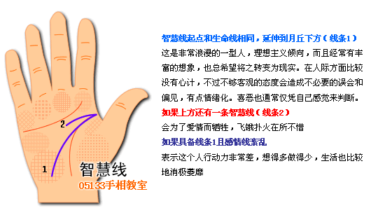 智慧线图解看个性