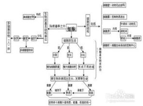 枫林教你学养花