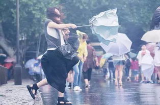 今日立冬,今晚降温下雨大风一个都不少 