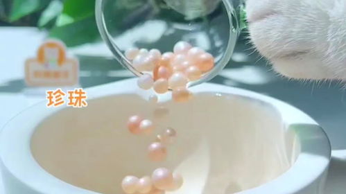 猫王 你喝过用珍珠做的真珍珠奶茶吗