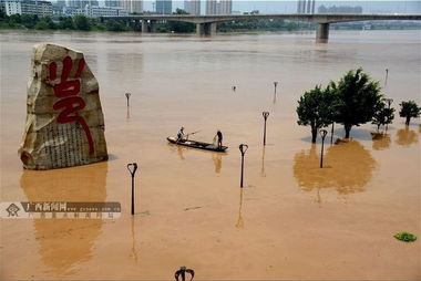 南宁民生广场因台风变海洋 市民乘船捕鱼 