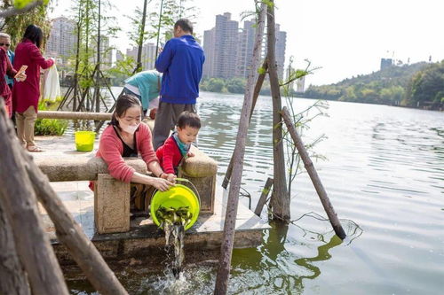 聚龙湖 纪实片 一片湖,和一群守护者 小镇 