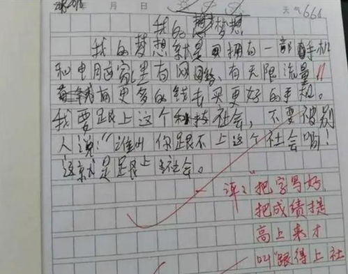 眼睛和眼镜作文500字