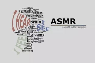  asmr,ARP ô ǮӦ