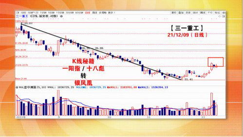 茅台股票分析技巧