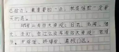 小黄车作文300字集锦