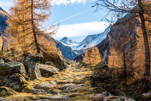 山浓，解读山水之间的浓烈情感，山浓云浅的意思是什么