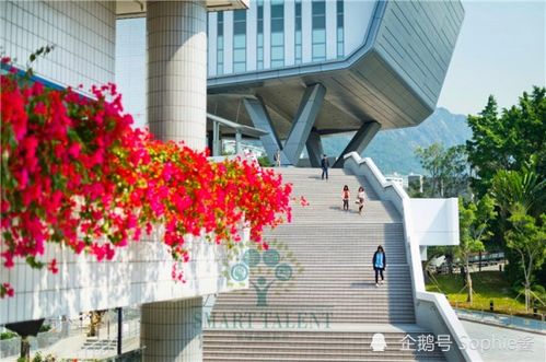 香港城市大学研究生有哪些专业,香港城市大学研究生专业概览