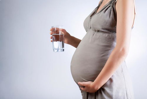 孕妈喝水有窍门,这五点还需注意,正确 补水 胎宝才能更好发育