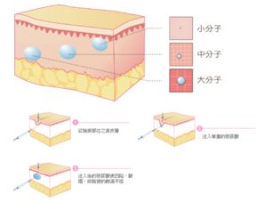 打了溶解酶多久能溶掉玻尿酸 