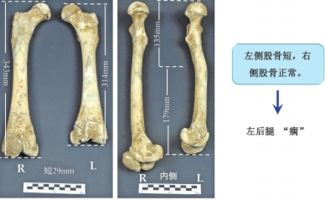 究竟什么是动物考古 一具熊骨带你回到3000年前 图