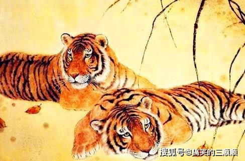 把妻子当 无价宝 的3生肖男,念旧情所以不变心,创造幸福生活