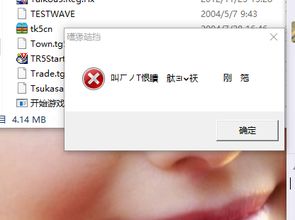 win10怎么不能玩太阁2