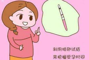 什么时候是排卵期，排卵期是什么时候可以测出来吗