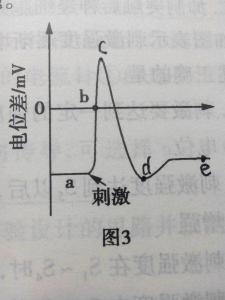 去极化