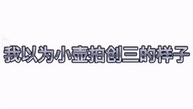 星生报道小翟模仿秀 别称 挨打记