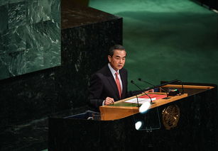 Wang says always sides with peace World Chinadaily.com.cn 