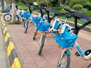 限期清理共享电动自行车 在韶关还有得骑吗