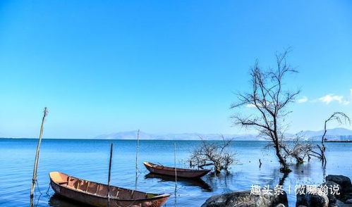 泉州天气适合旅游嘛